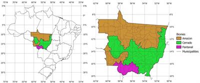 Forest protection and permanence of reduced emissions
